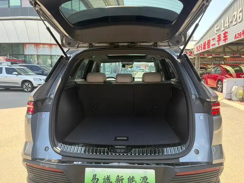 Song Pro DM 2023 DM-i Champion Edition 110km Excellent Model — миниатюра 22