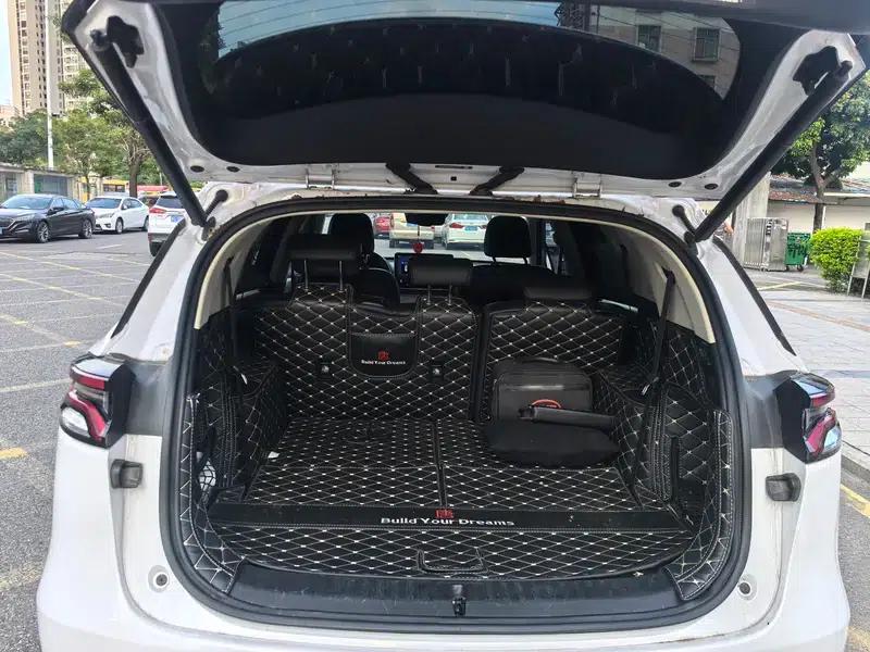 Tang DM 2020 DM 2.0T Dual Engine Four-Wheel Drive Premium 7-Seater National VI Emission Standard — миниатюра 19