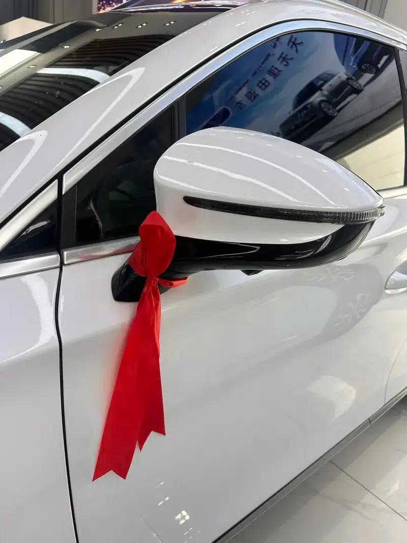 Tang DM 2021 DM-i 1.5T 112KM Premium Edition — миниатюра 9