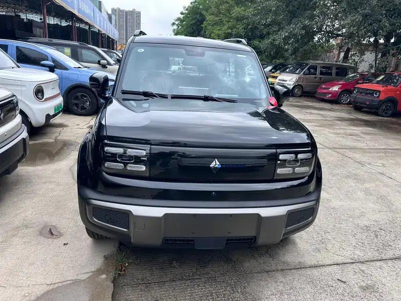 Yueye Plus 2026 Model 301km Flagship Edition — миниатюра 2