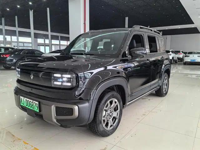 Yueye Plus 2026 Model 301km Flagship Edition