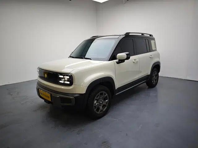 Yueye Plus 2026 Model 301km Flagship Edition