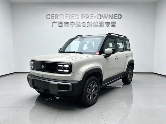 Yueye Plus 2026 Model 301km Flagship Edition