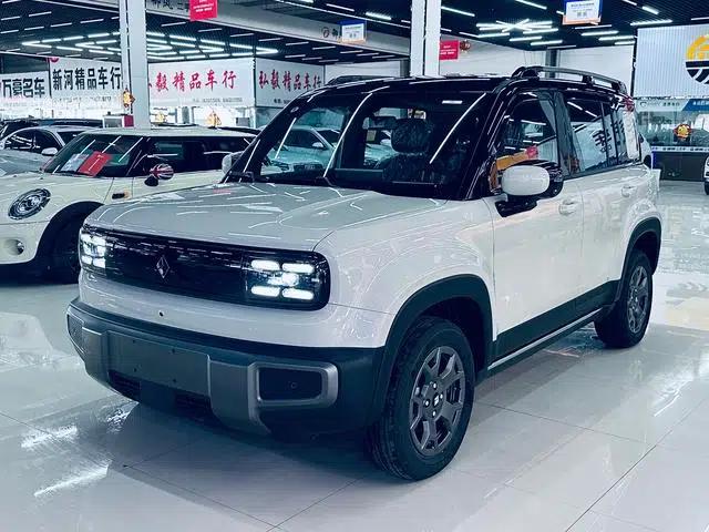 Yueye Plus 2026 Model 301km Flagship Edition