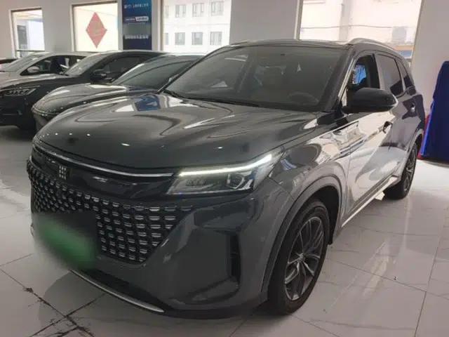 Landian E5 2024 Honor Edition 100KM Comfort Model 7 Seats