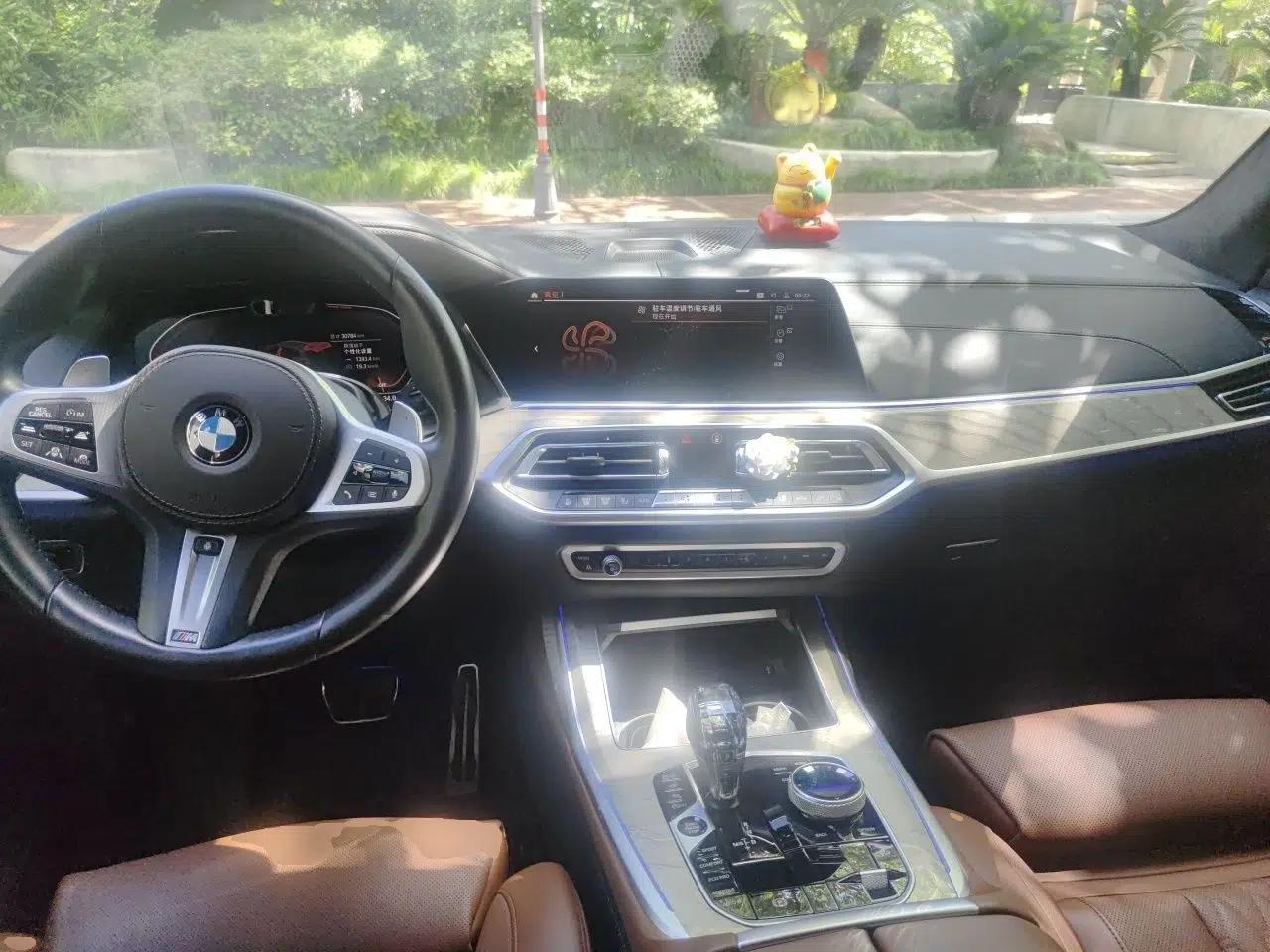 BMW X7 2020 xDrive40i Luxury M Sport Package — миниатюра 9