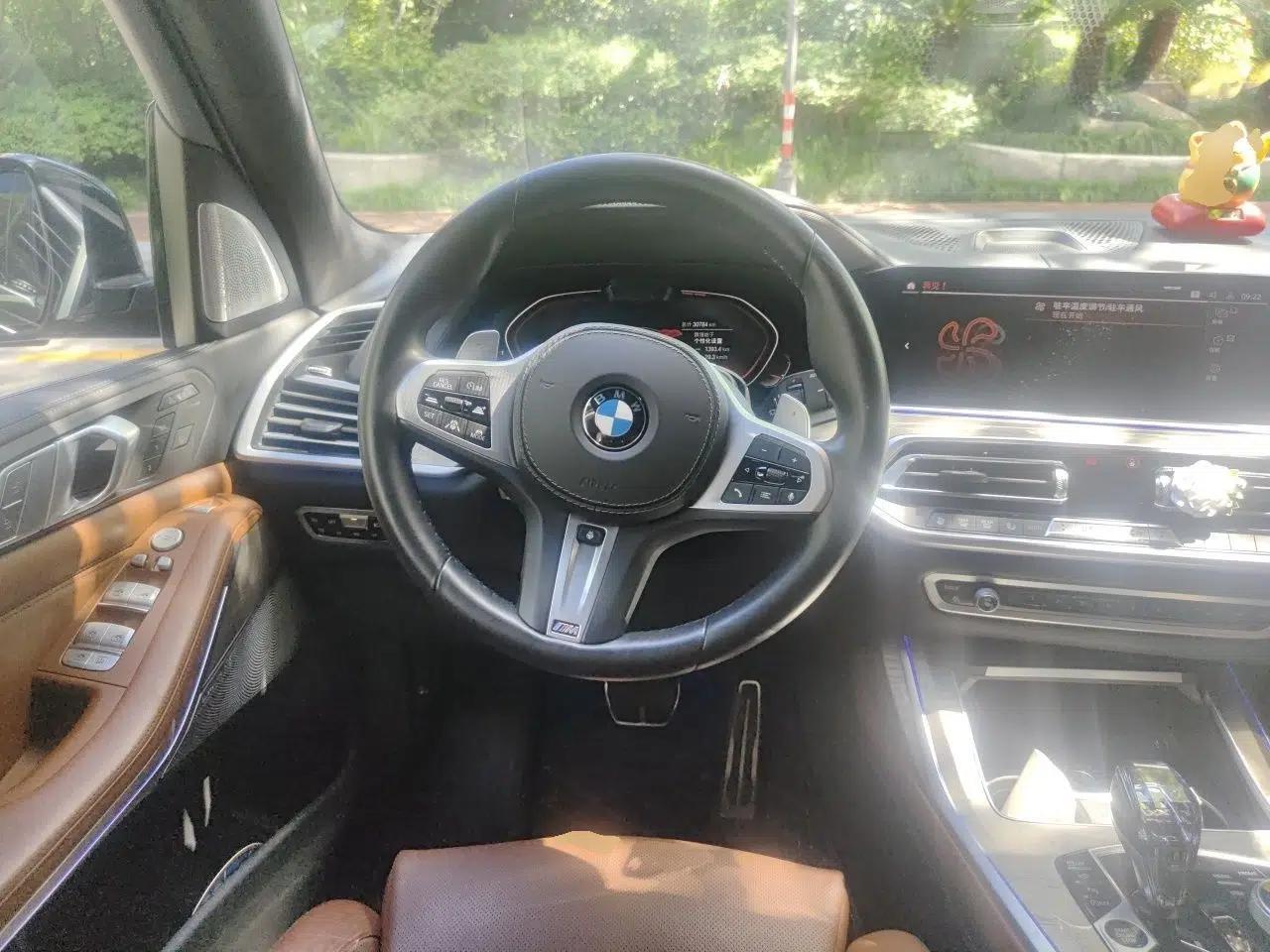 BMW X7 2020 xDrive40i Luxury M Sport Package — миниатюра 10