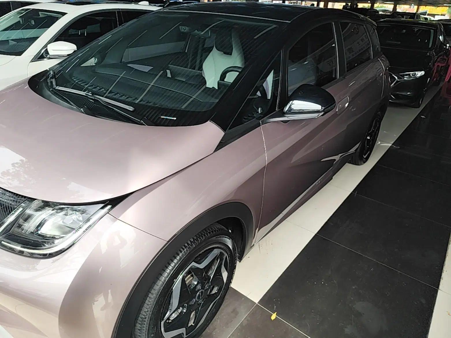 BYD Dolphin 2021 405 km Fashion Edition — миниатюра 1