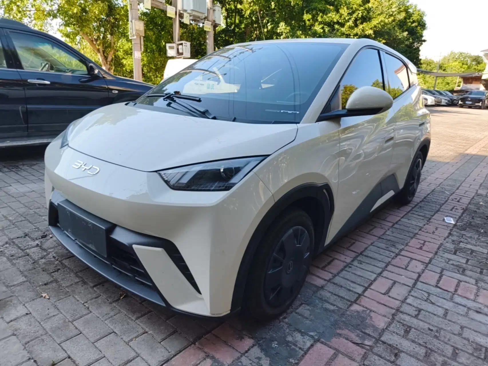 BYD Seagull 2024 Honor Edition 305km Dynamic Version — миниатюра 1