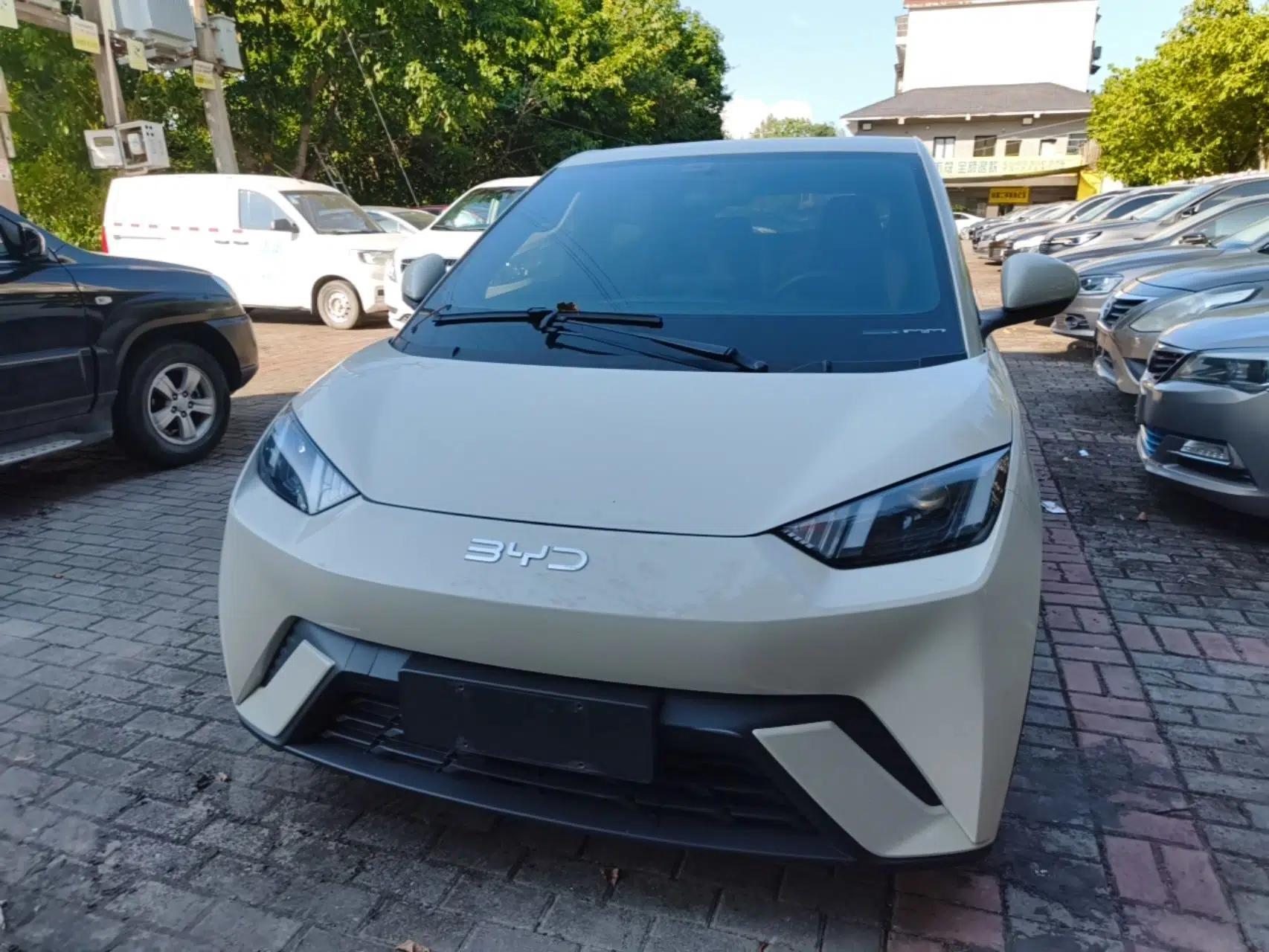 BYD Seagull 2024 Honor Edition 305km Dynamic Version — миниатюра 2