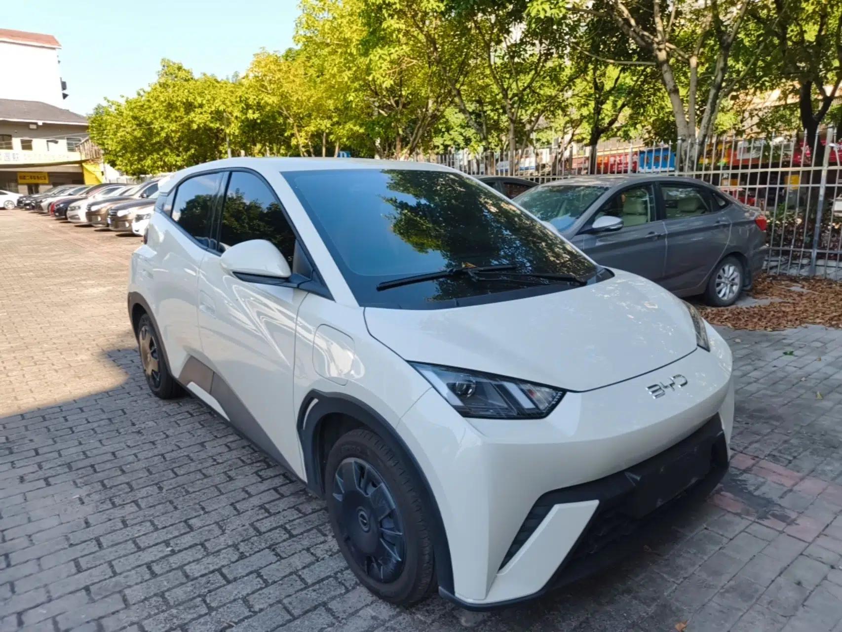 BYD Seagull 2024 Honor Edition 305km Dynamic Version — миниатюра 3