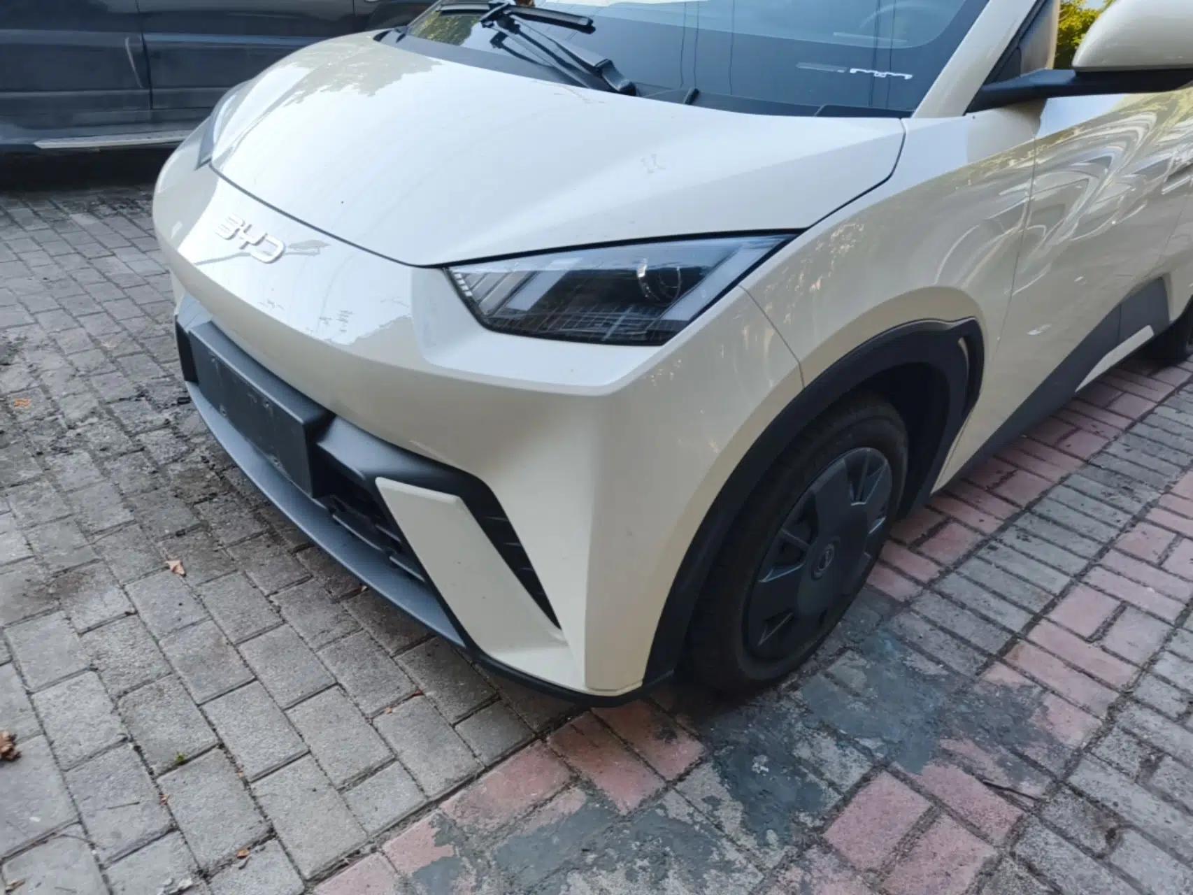 BYD Seagull 2024 Honor Edition 305km Dynamic Version — миниатюра 8