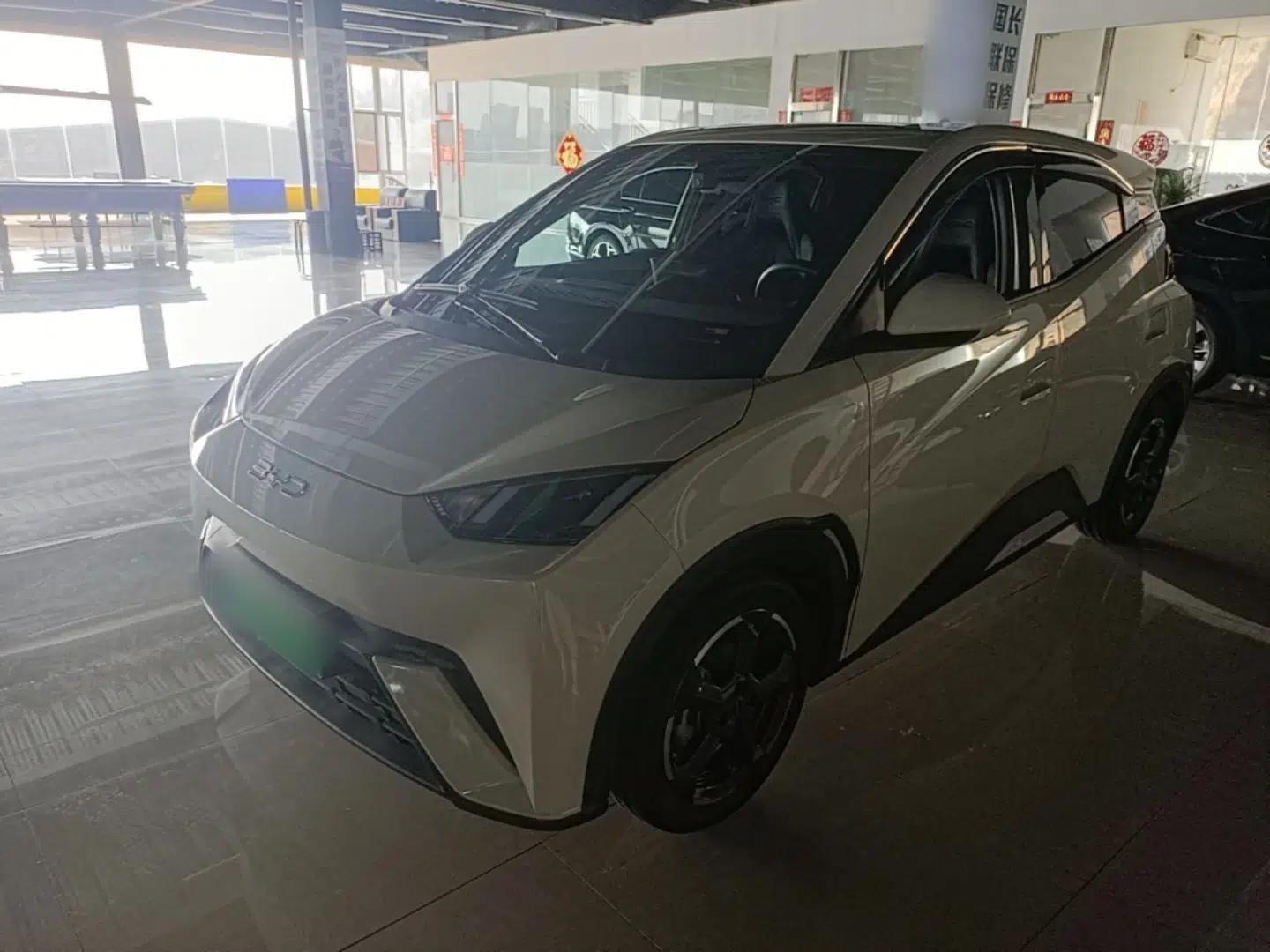 BYD Seagull 2024 Honor Edition 305km Freedom Version — миниатюра 1