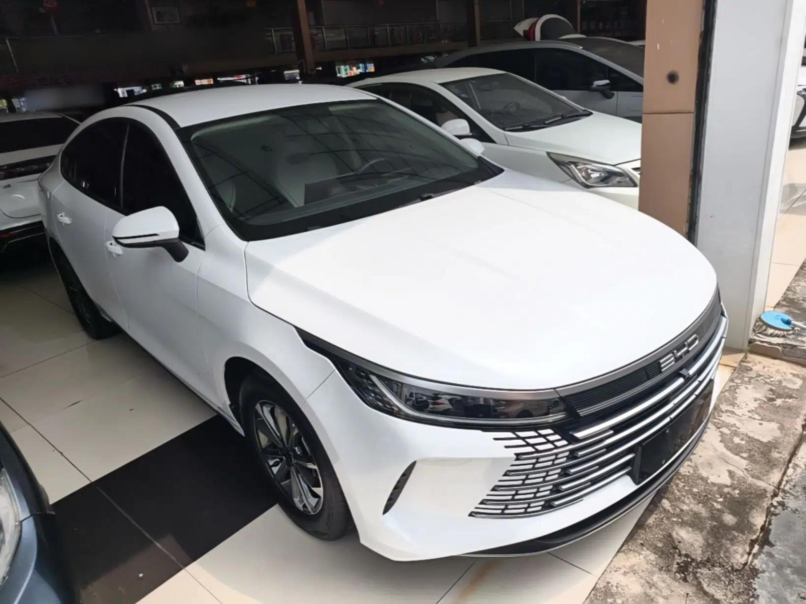 BYD Destroyer 05 2024 HONOR Edition DM-i 55KM Luxury Model — миниатюра 3