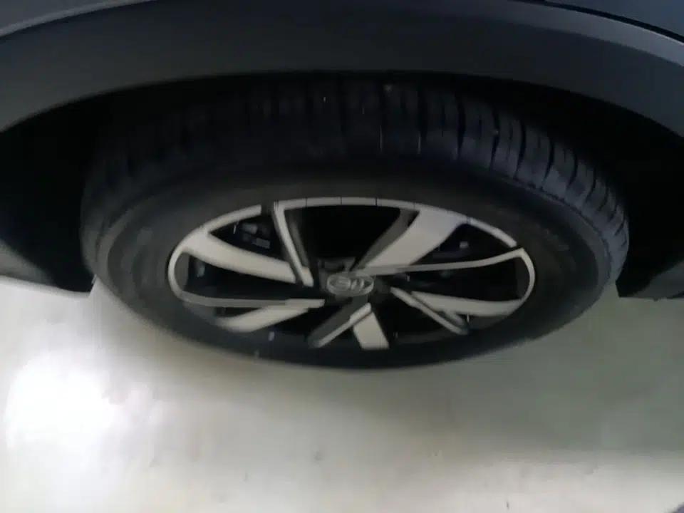 BYD Song Pro New Energy 2024 HONOR Edition DM-i 110KM Beyond Model — миниатюра 11