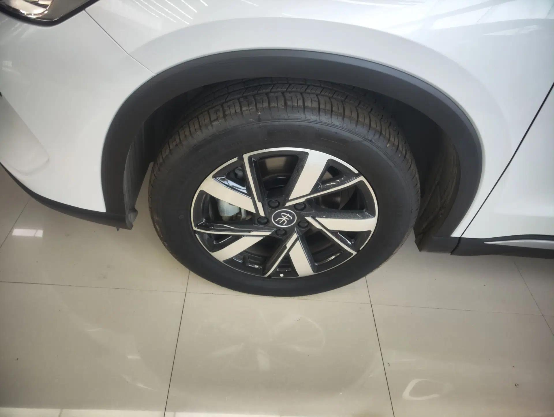 BYD Song Pro New Energy 2023 Champion Edition DM-i 110KM Beyond Model — миниатюра 10