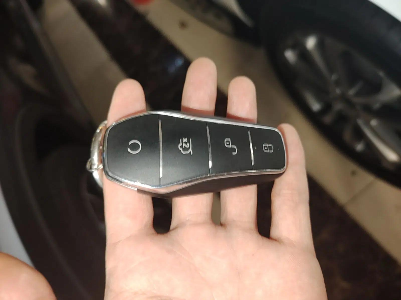 BYD Song Pro New Energy 2024 HONOR Edition DM-i 71KM Navigation Model — миниатюра 28