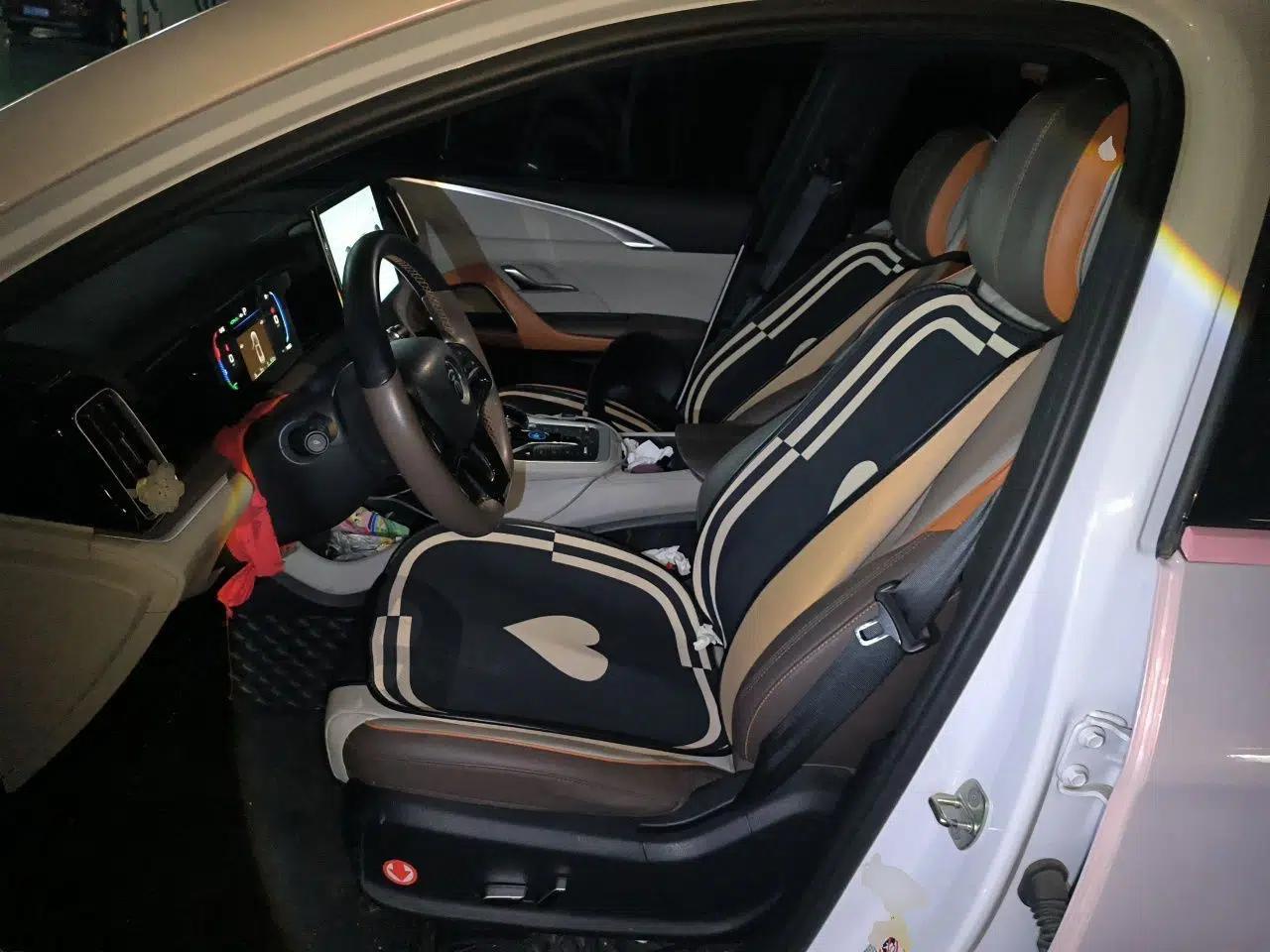 BYD Song Pro New Energy 2022 DM-i 51km Prestige Model — миниатюра 15