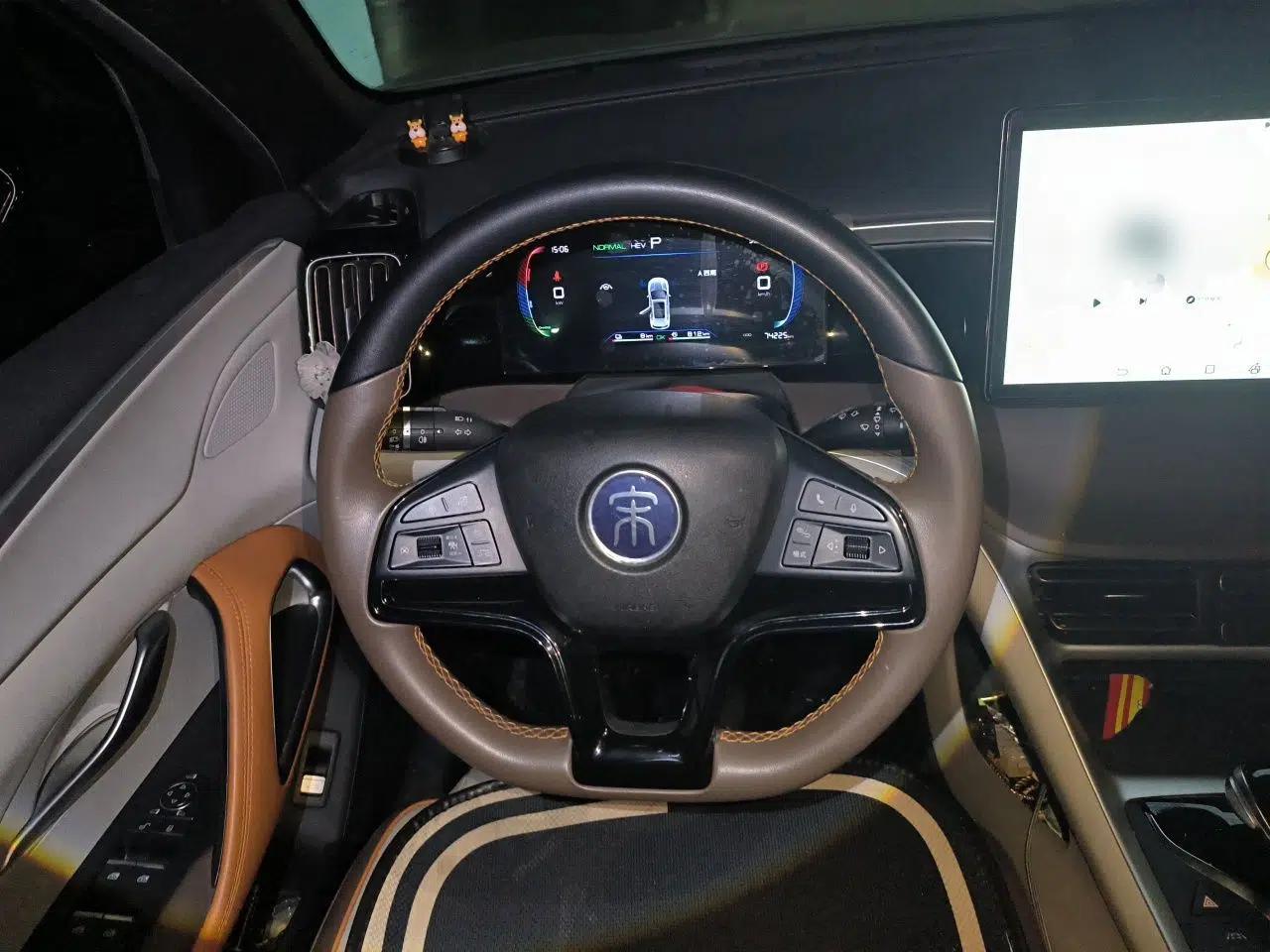 BYD Song Pro New Energy 2022 DM-i 51km Prestige Model — миниатюра 10