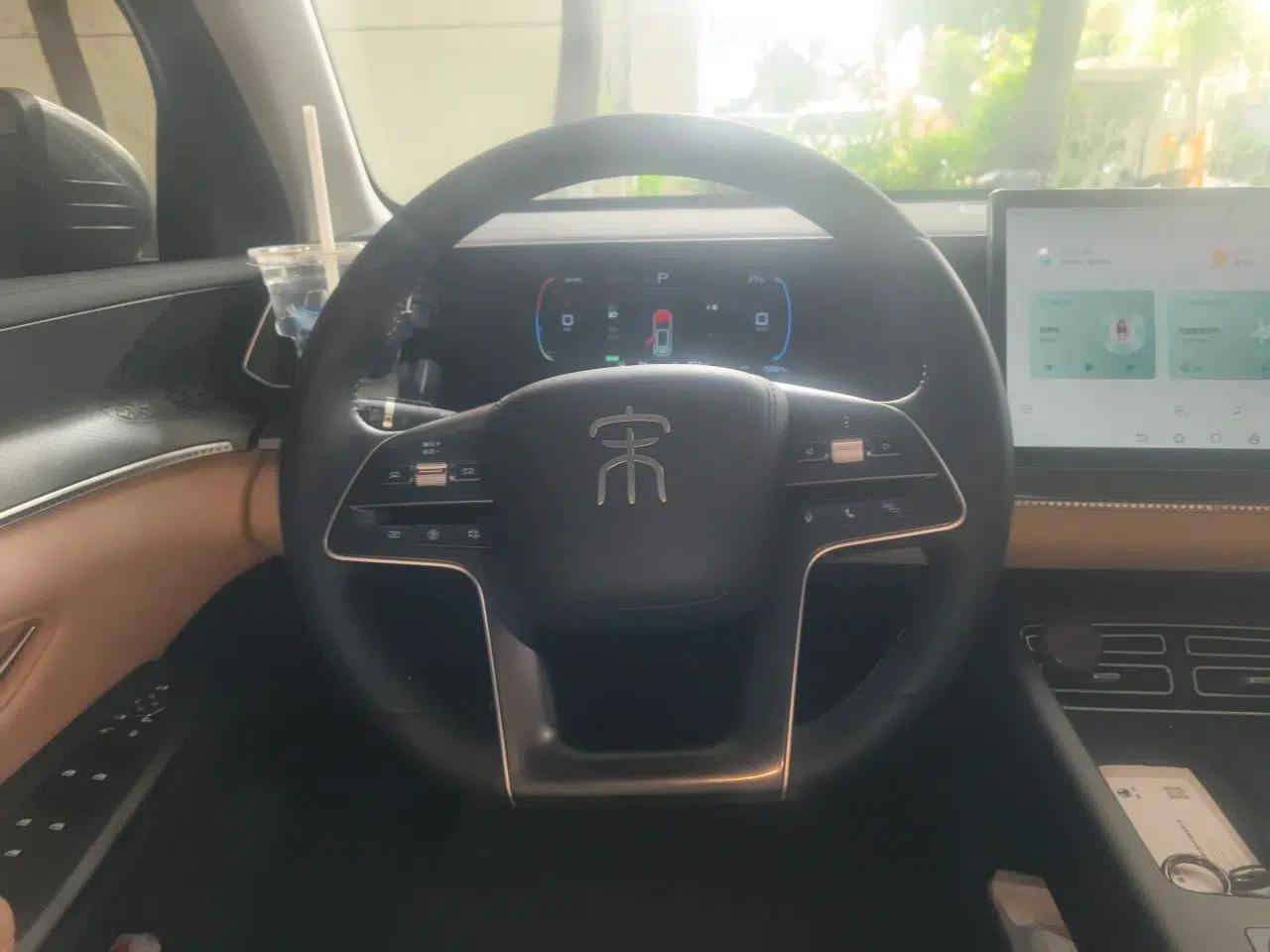 BYD Song Pro New Energy 2025 Second-Generation DM-i 75KM Overachiever Trim — миниатюра 10