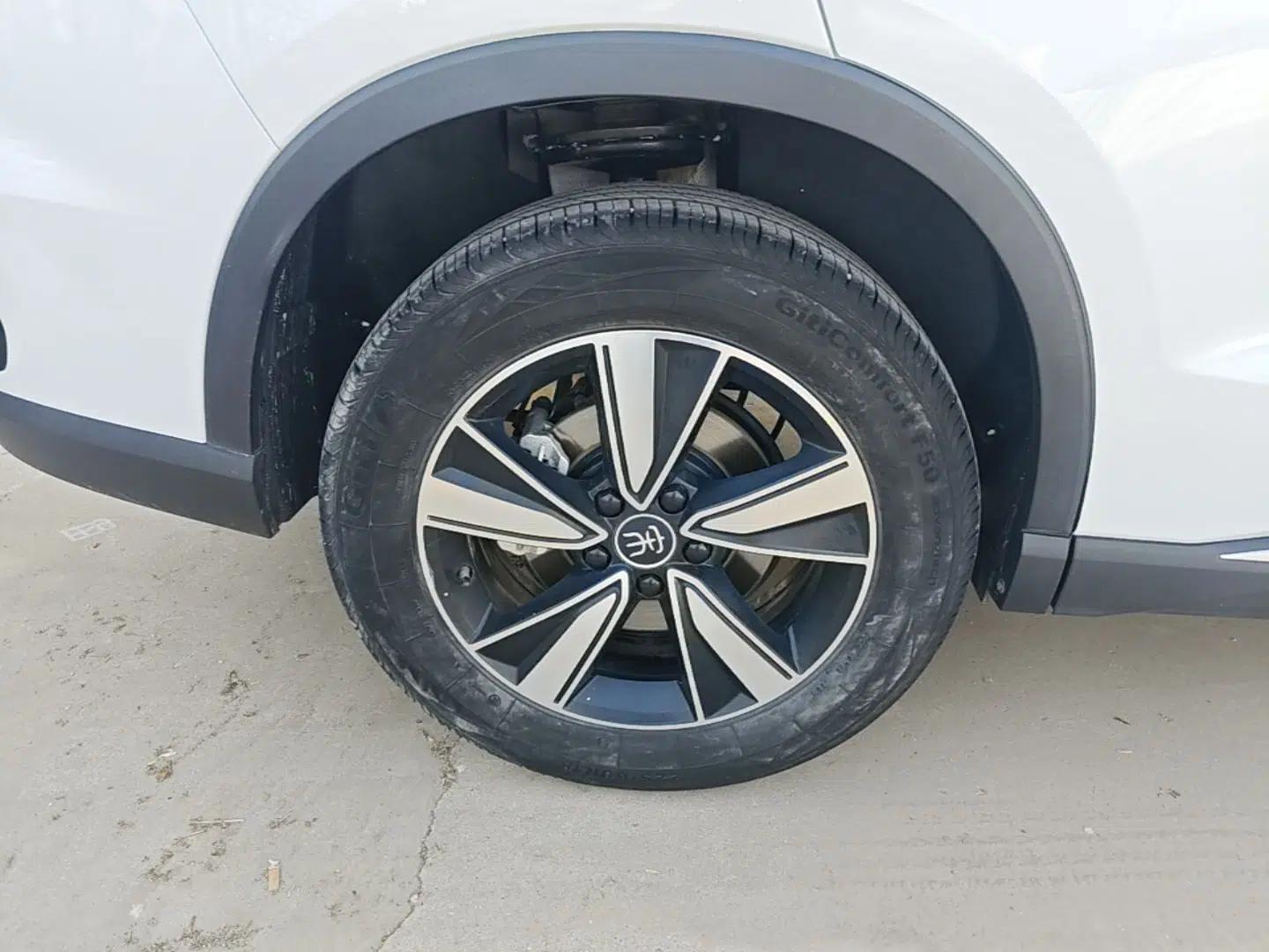 BYD Song Pro New Energy 2022 DM-i 51km Prestige Model — миниатюра 11