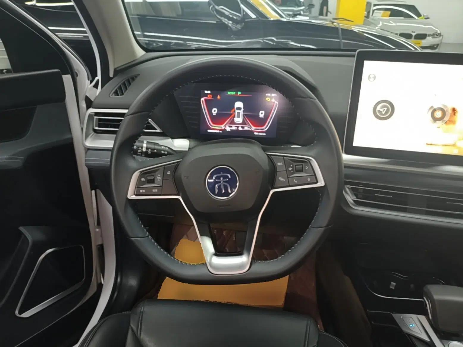 BYD Song Pro New Energy 2019 DM 1.5T Four-Wheel Drive Performance Edition Deluxe Model — миниатюра 13