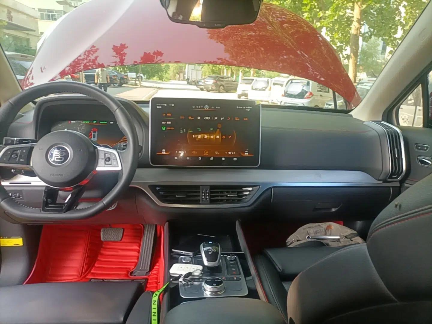 BYD Tang New Energy 2019 EV600D Four-Wheel Drive Smart Connectivity Leading Model — миниатюра 20