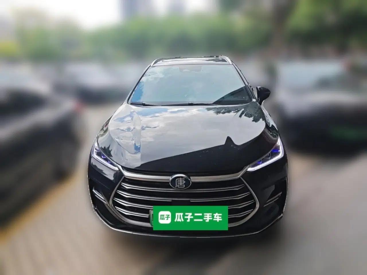 BYD Tang New Energy 2023 DM-i Champion Edition 112KM Prestige Model — миниатюра 2
