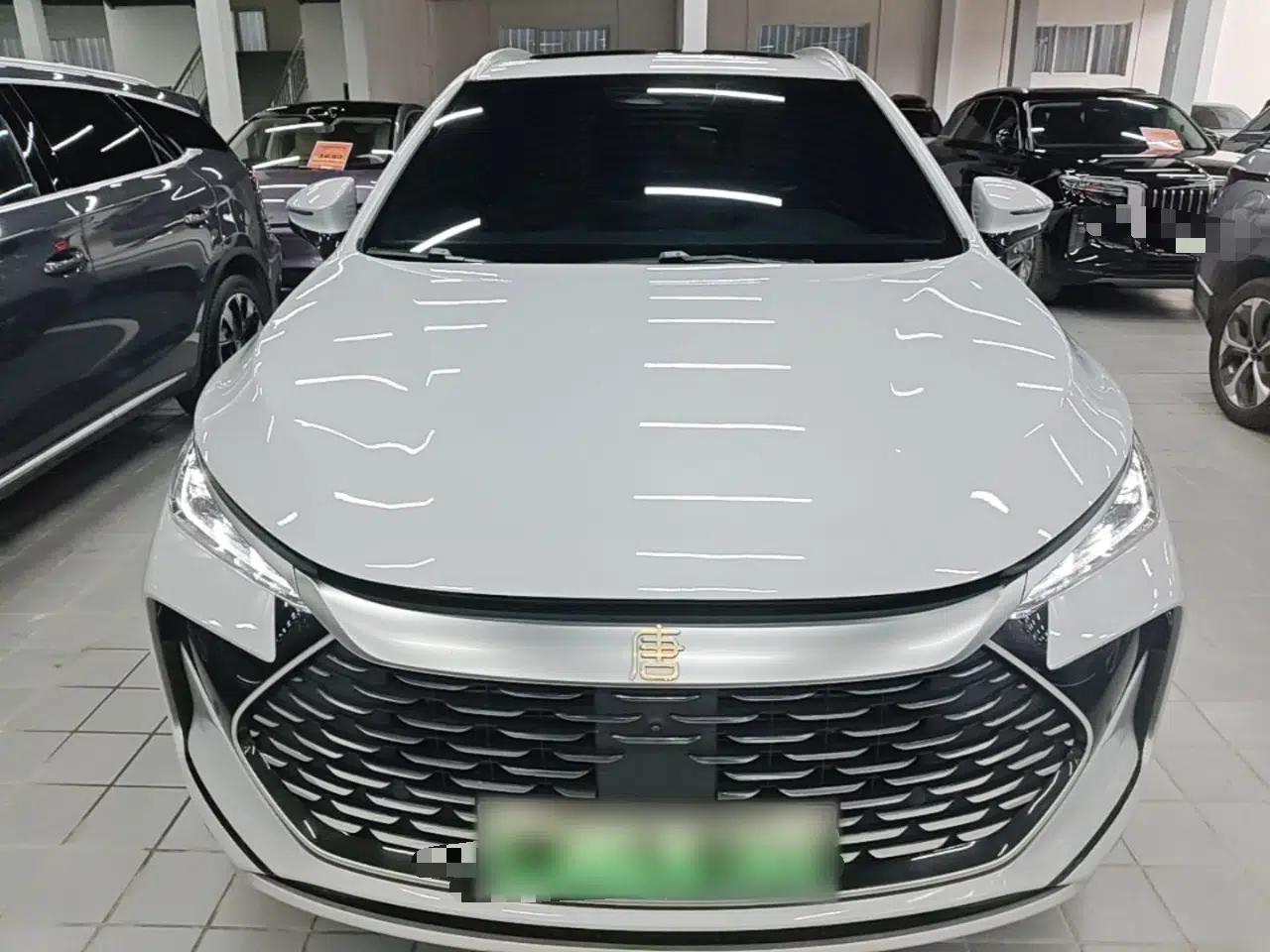 BYD Tang New Energy 2024 DM-i Glory Edition 112KM Prestige Model — миниатюра 2