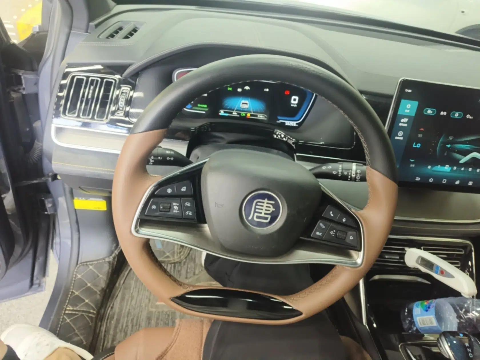 BYD Tang New Energy 2021 DM-i 112KM Prestige Model — миниатюра 13