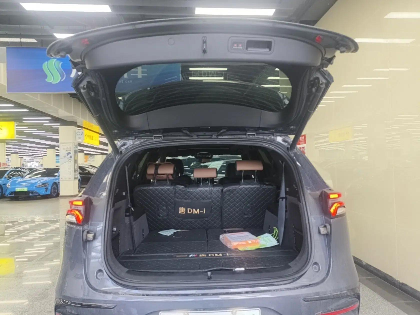 BYD Tang New Energy 2021 DM-i 112KM Prestige Model — миниатюра 22
