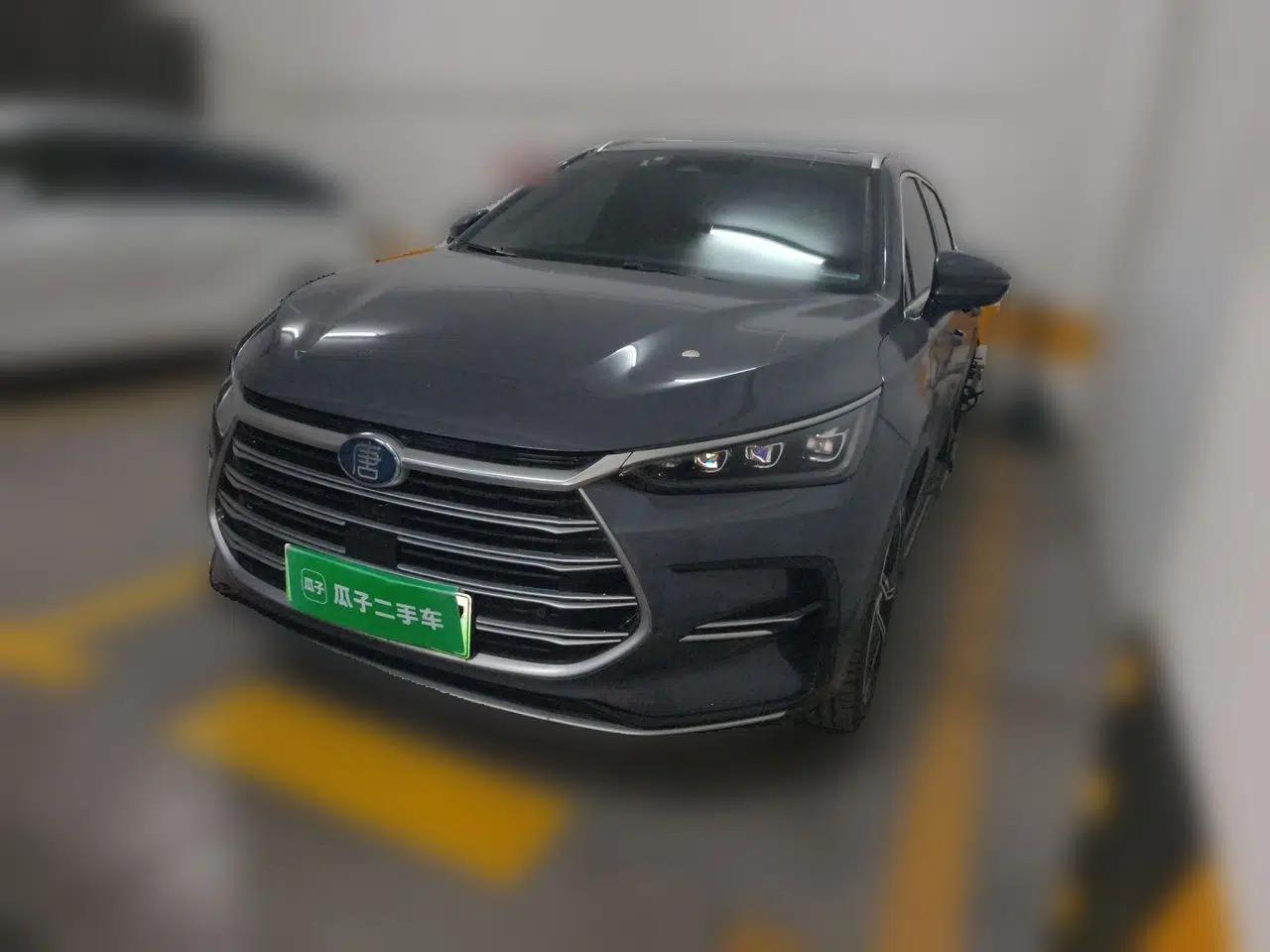 BYD Tang New Energy 2021 DM-i 112KM Prestige Model — миниатюра 1