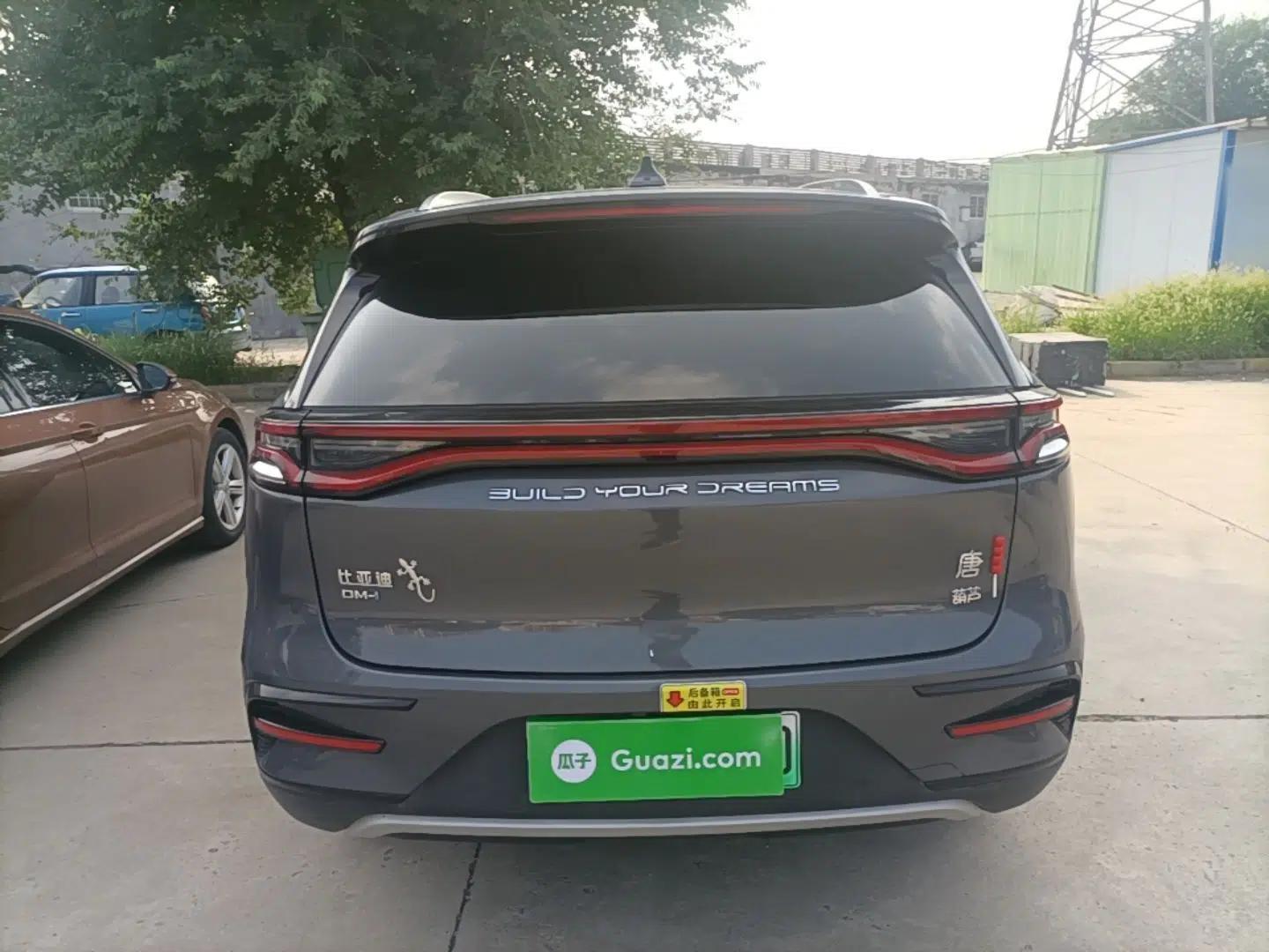 BYD Tang New Energy 2021 DM-i 112KM Prestige Model — миниатюра 5