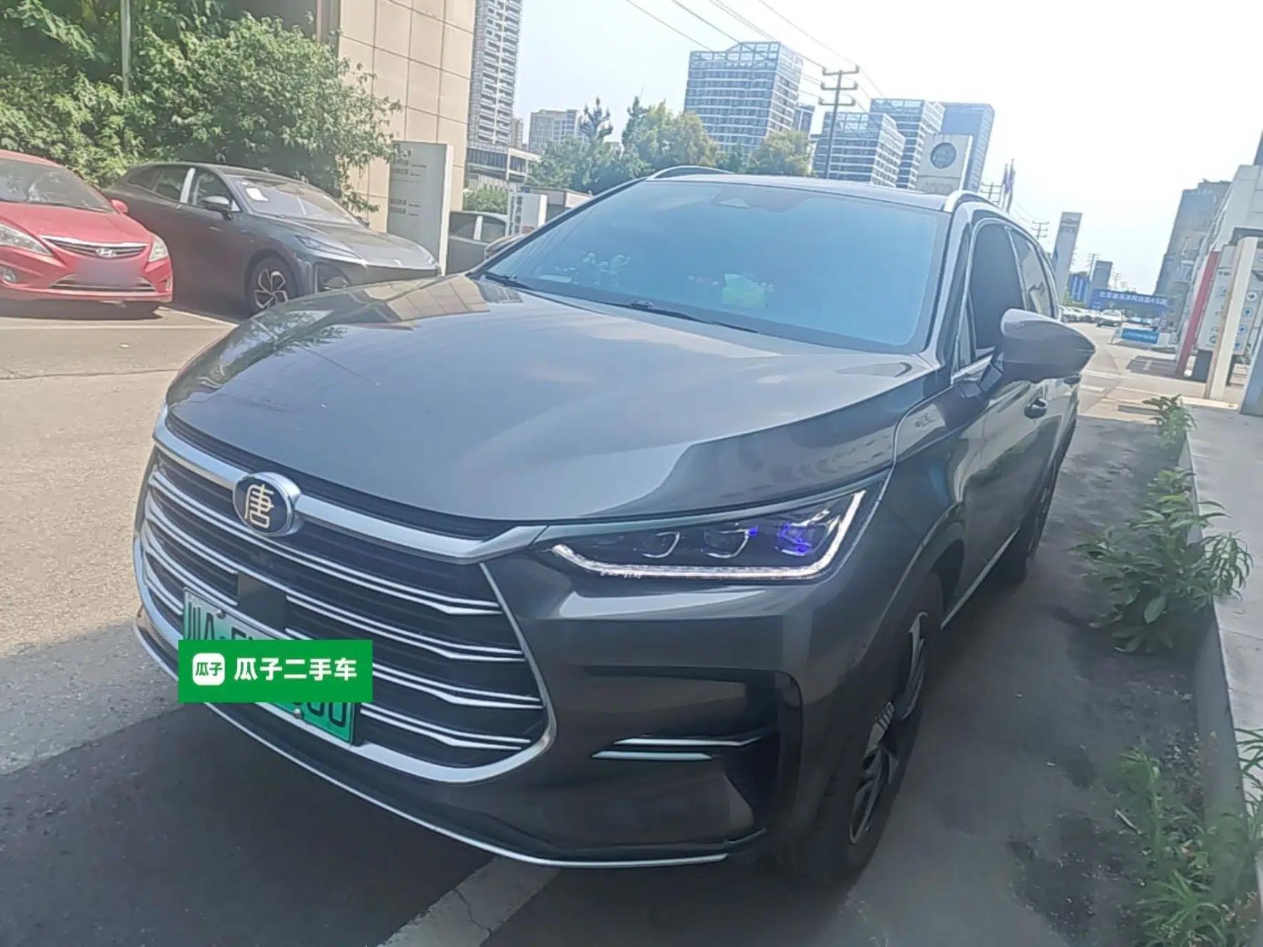 BYD Tang New Energy 2023 DM-i Champion Edition 112KM Prestige Model — миниатюра 1