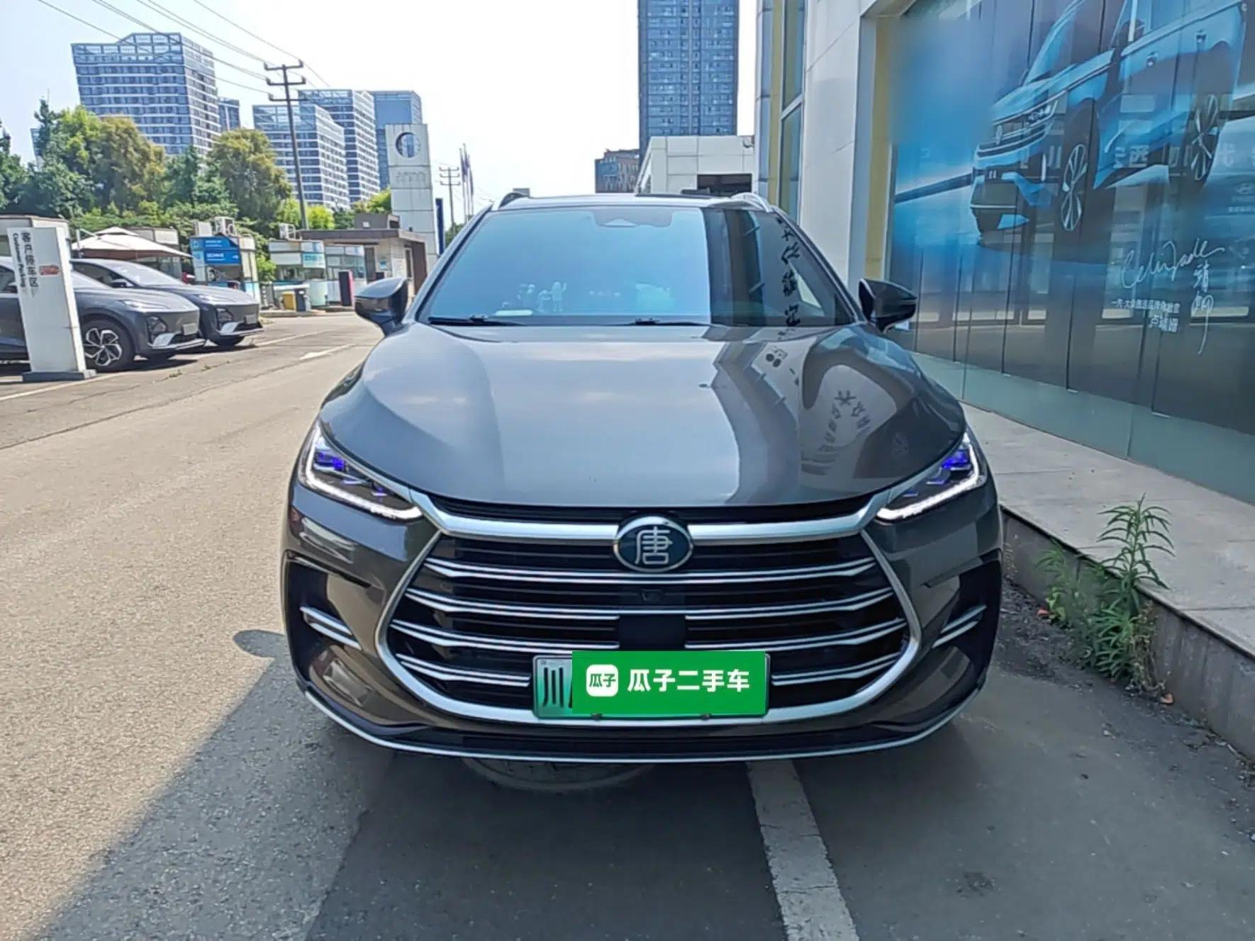 BYD Tang New Energy 2023 DM-i Champion Edition 112KM Prestige Model — миниатюра 2