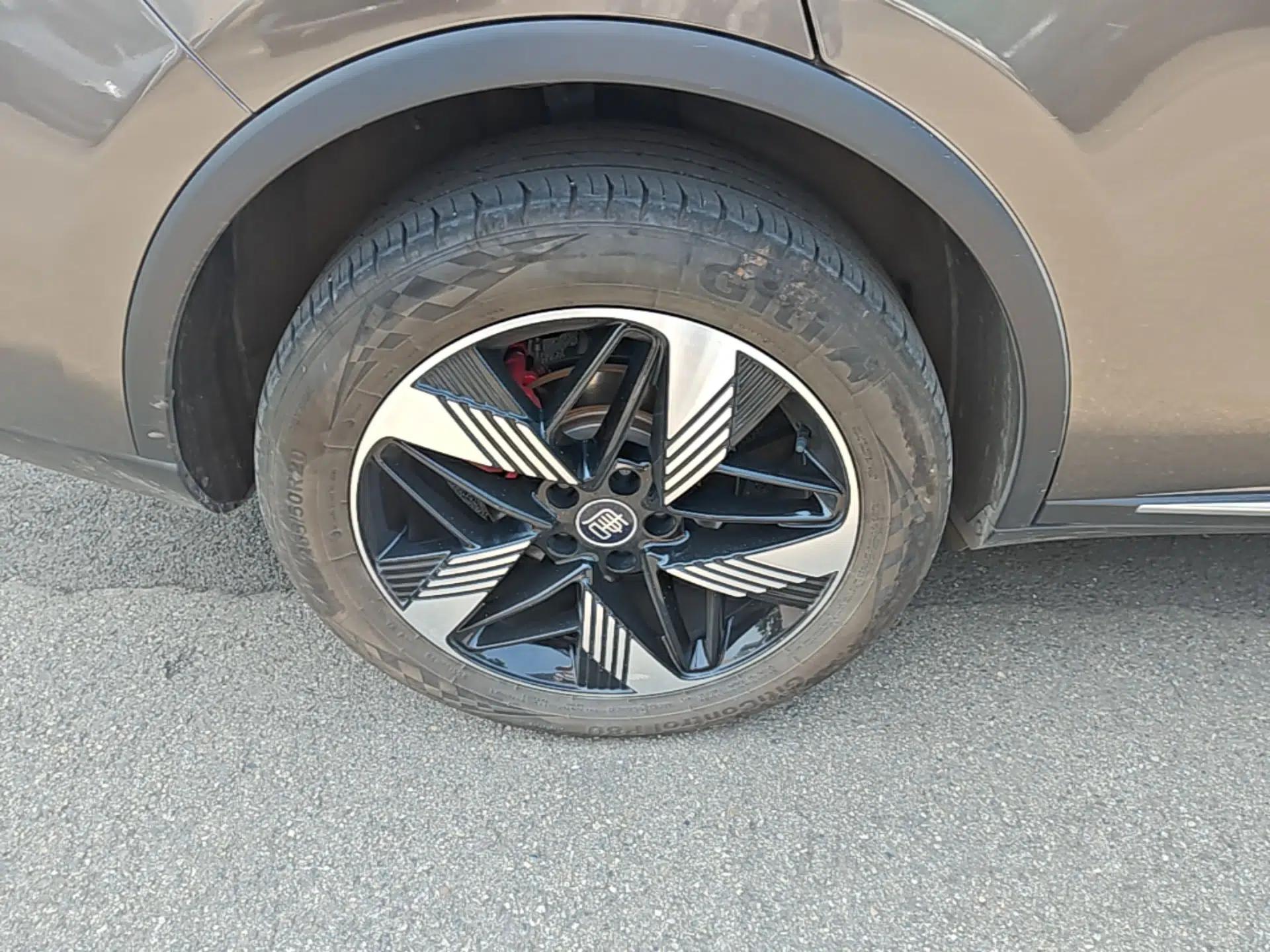 BYD Tang New Energy 2023 DM-i Champion Edition 112KM Prestige Model — миниатюра 11