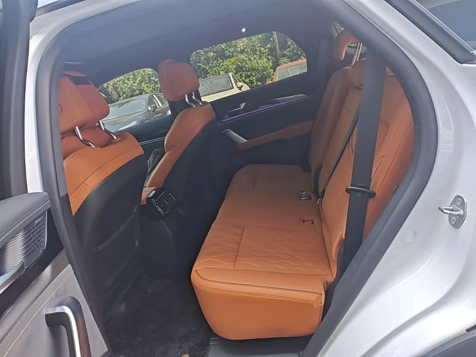 BYD Tang New Energy 2023 DM-i Champion Edition 112KM Prestige Model — миниатюра 25