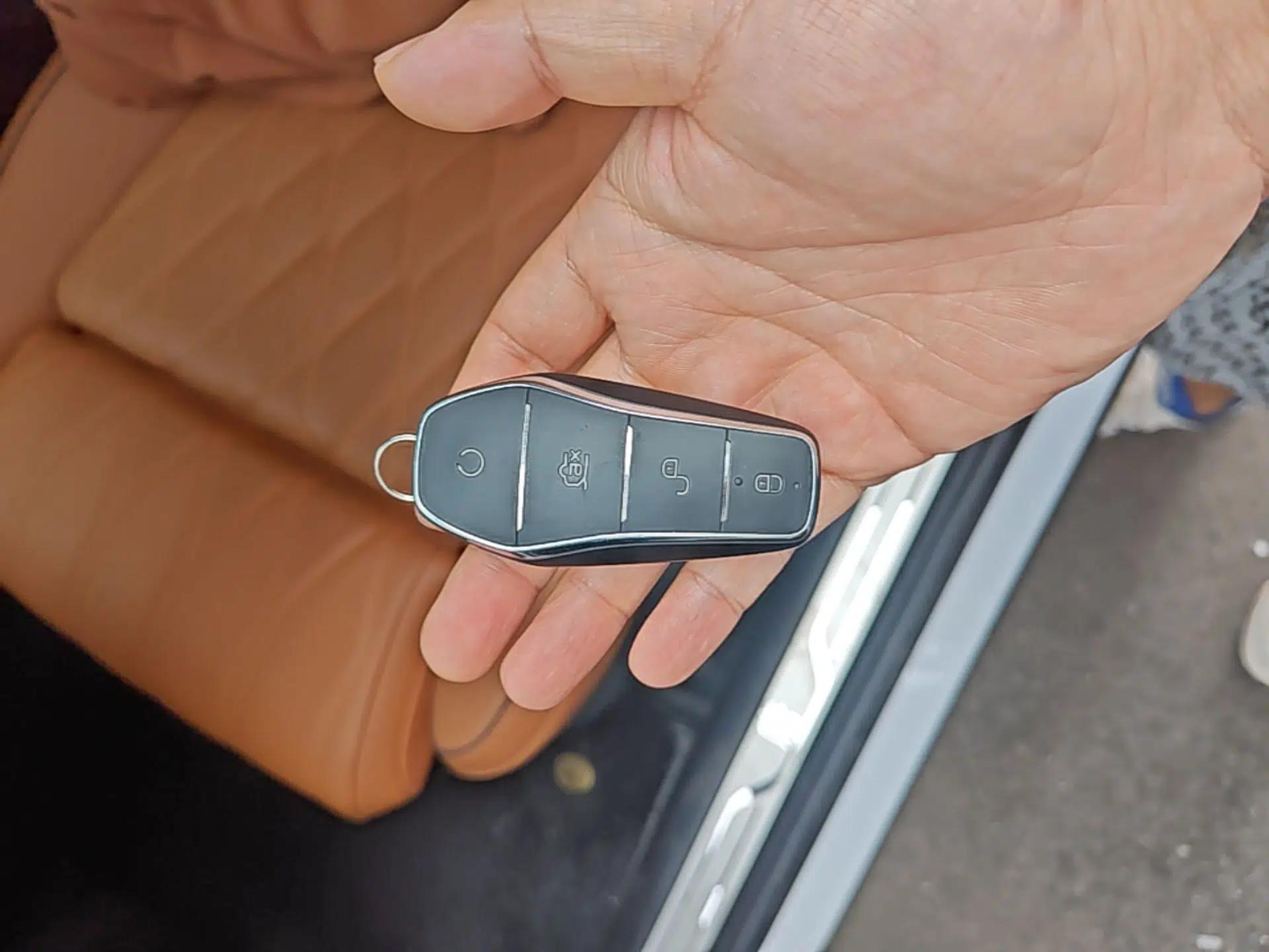 BYD Tang New Energy 2023 DM-i Champion Edition 112KM Prestige Model — миниатюра 28
