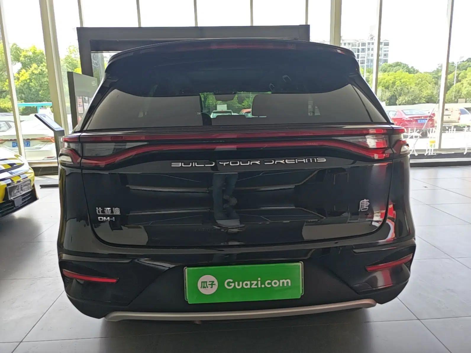 BYD Tang New Energy 2021 DM-i 112KM Prestige Model — миниатюра 5