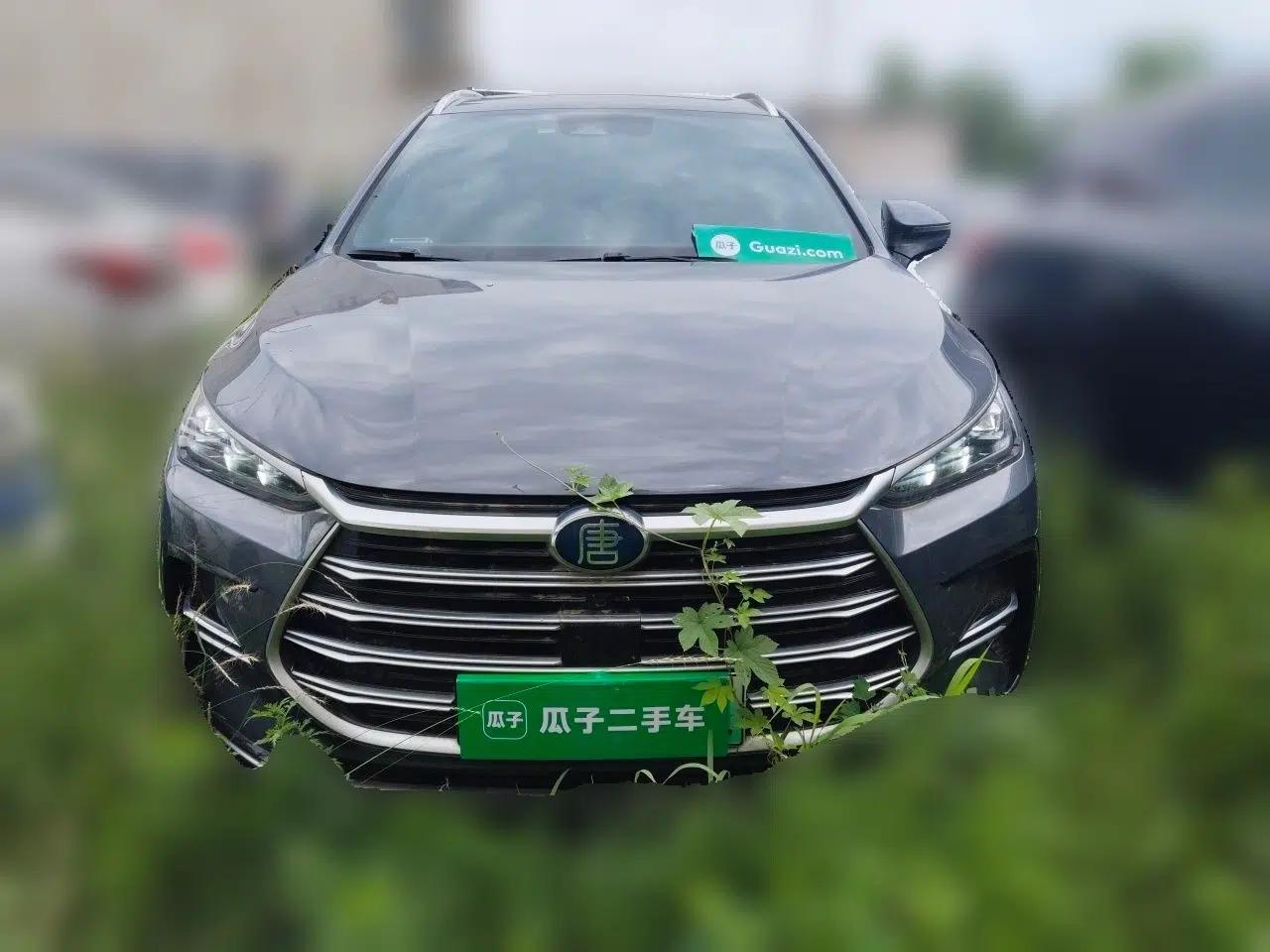 BYD Tang New Energy 2021 DM-i 112KM Prestige Model — миниатюра 2
