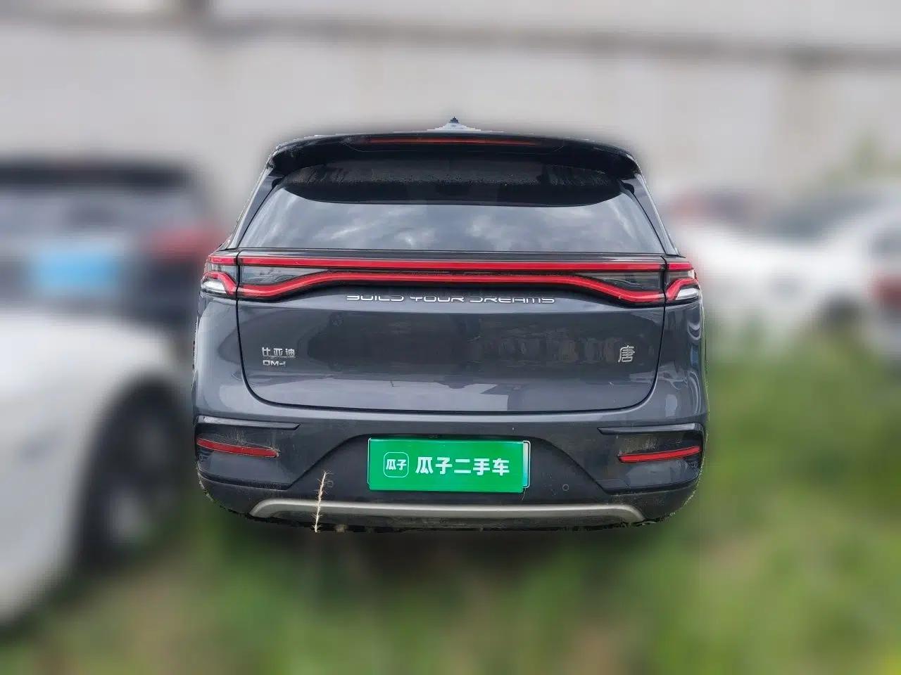 BYD Tang New Energy 2021 DM-i 112KM Prestige Model — миниатюра 5