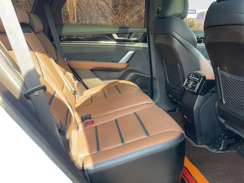 BYD Tang New Energy 2021 DM 2.0T Four-Wheel Drive Performance Edition Prestige Model — миниатюра 20
