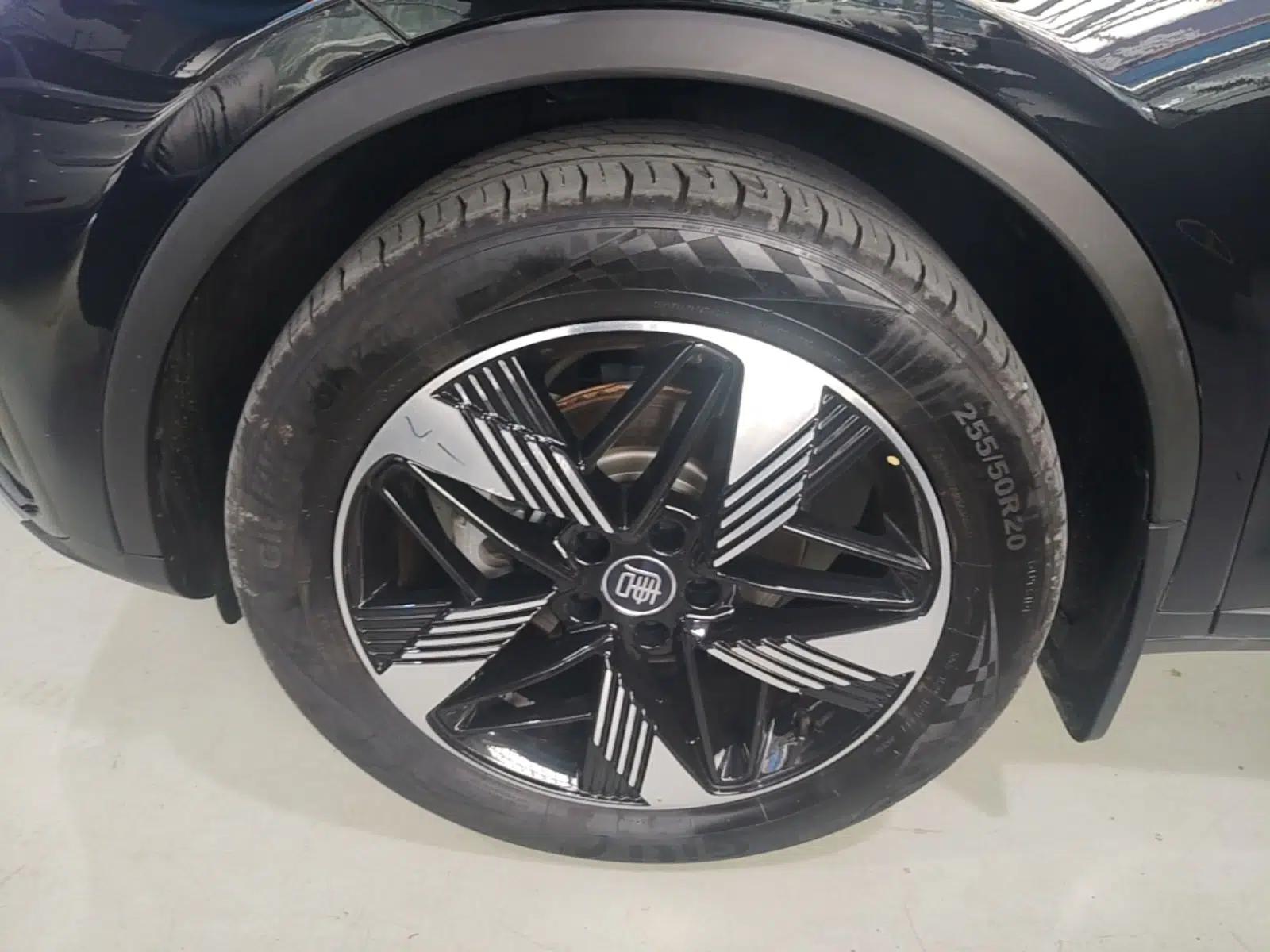 BYD Tang New Energy 2023 DM-i Champion Edition 112KM Prestige Model — миниатюра 10