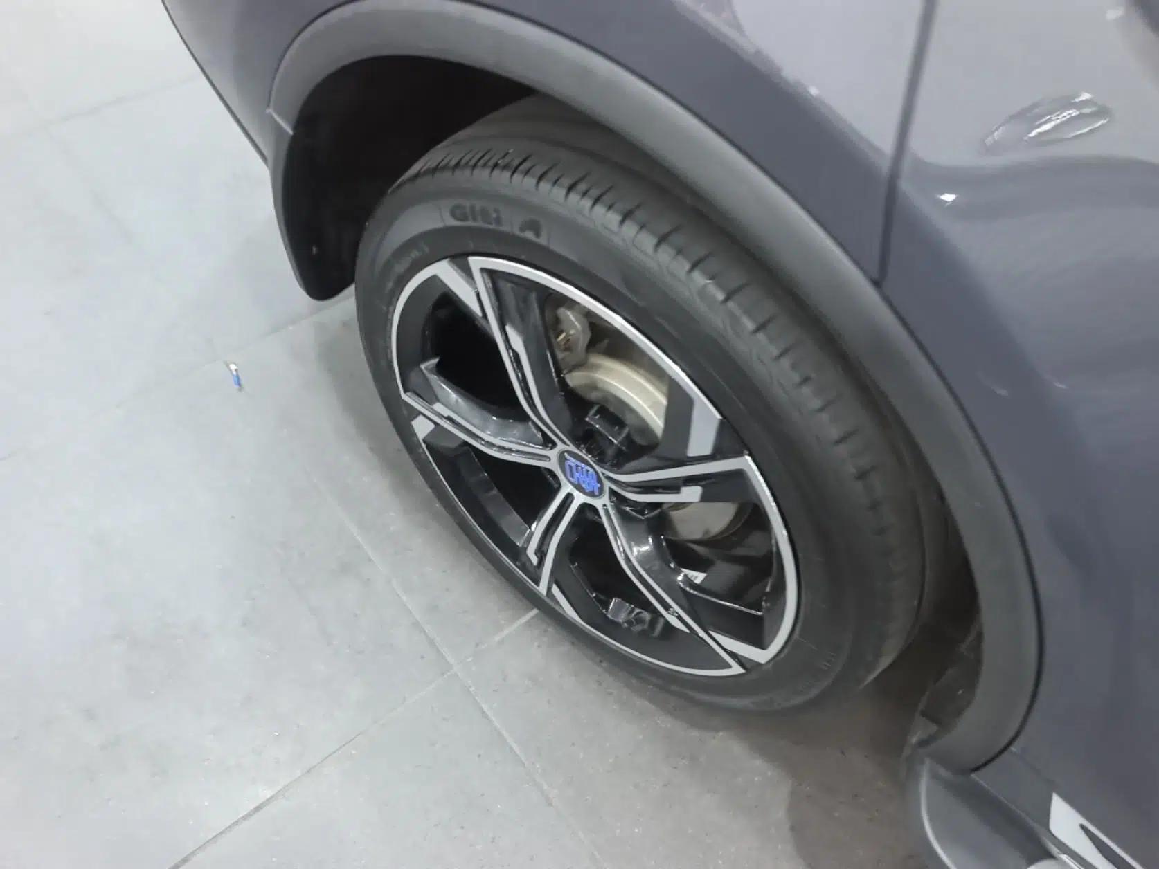 BYD Tang New Energy 2021 DM-i 112KM Prestige Model — миниатюра 11