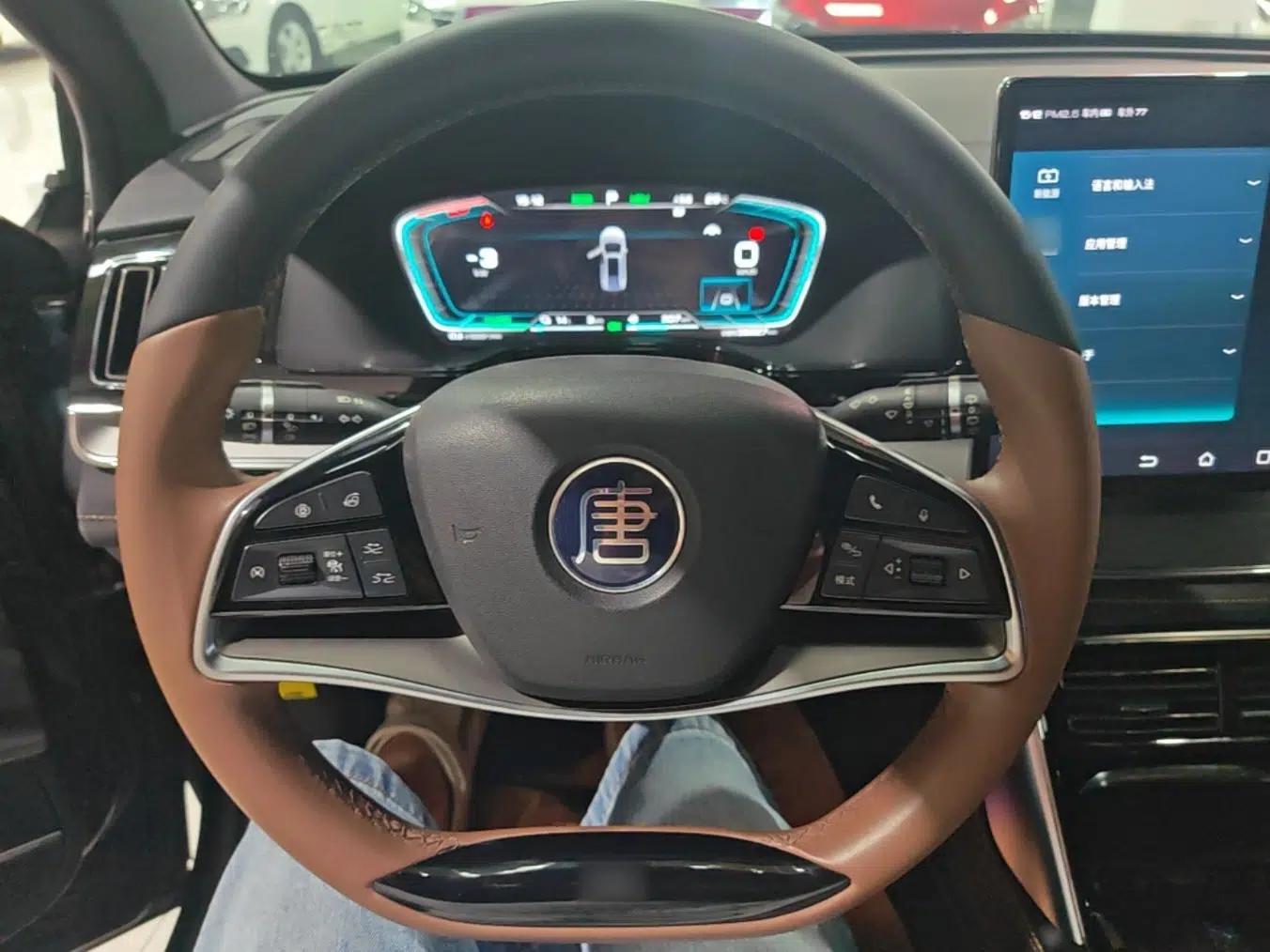 BYD Tang New Energy 2021 DM 2.0T Four-Wheel Drive High-Performance Luxury Model — миниатюра 18