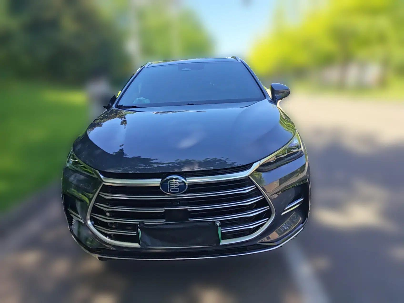BYD Tang New Energy 2022 DM-i 252km Luxury Model — миниатюра 2
