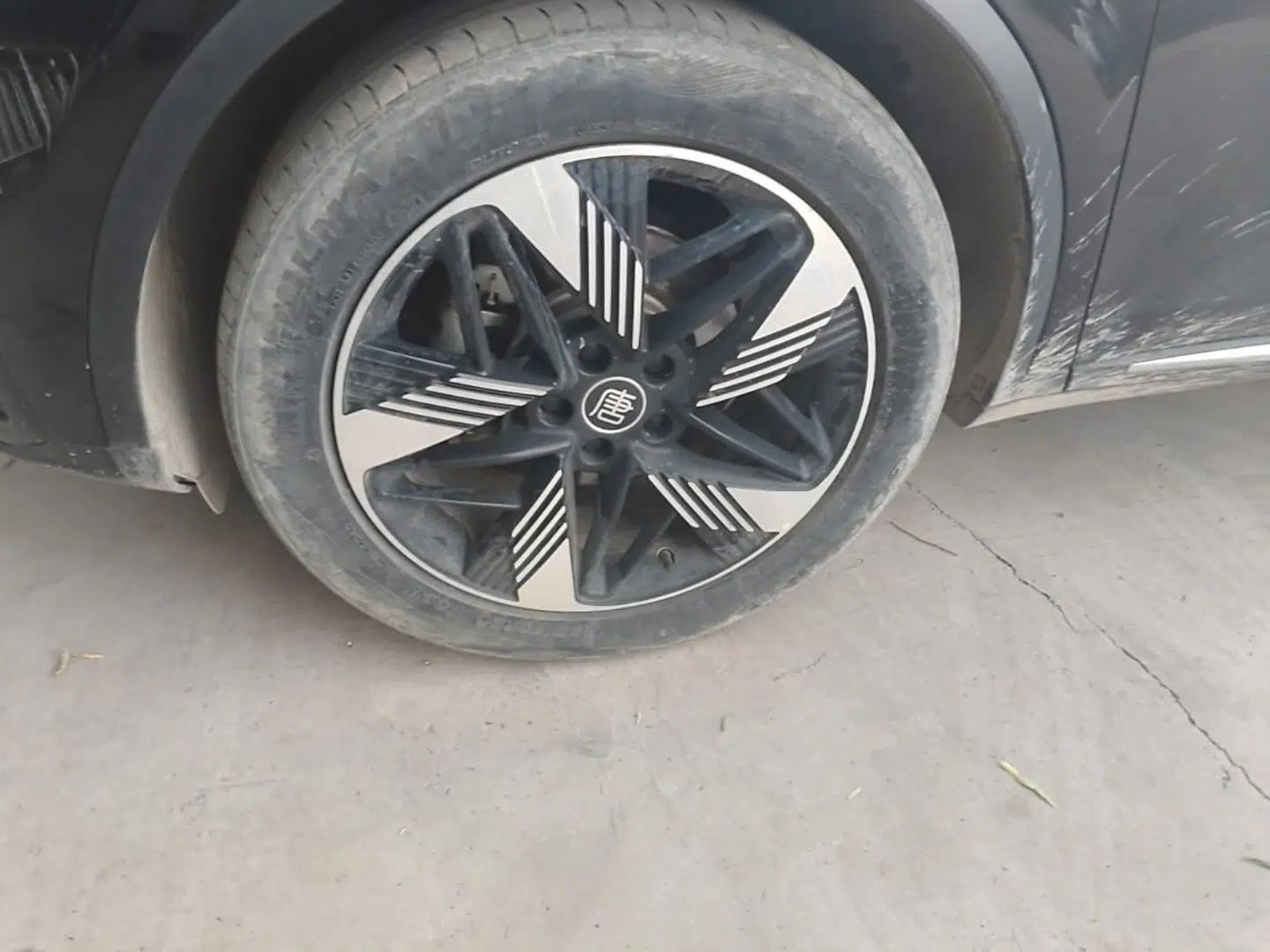 BYD Tang New Energy 2023 DM-i Champion Edition 112KM Prestige Model — миниатюра 10