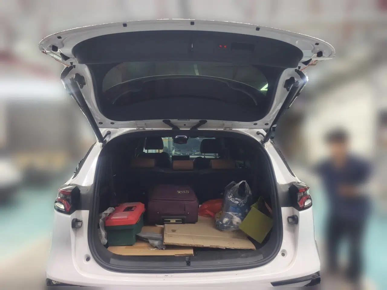 BYD Tang New Energy 2021 DM-i 112KM Prestige Model — миниатюра 19