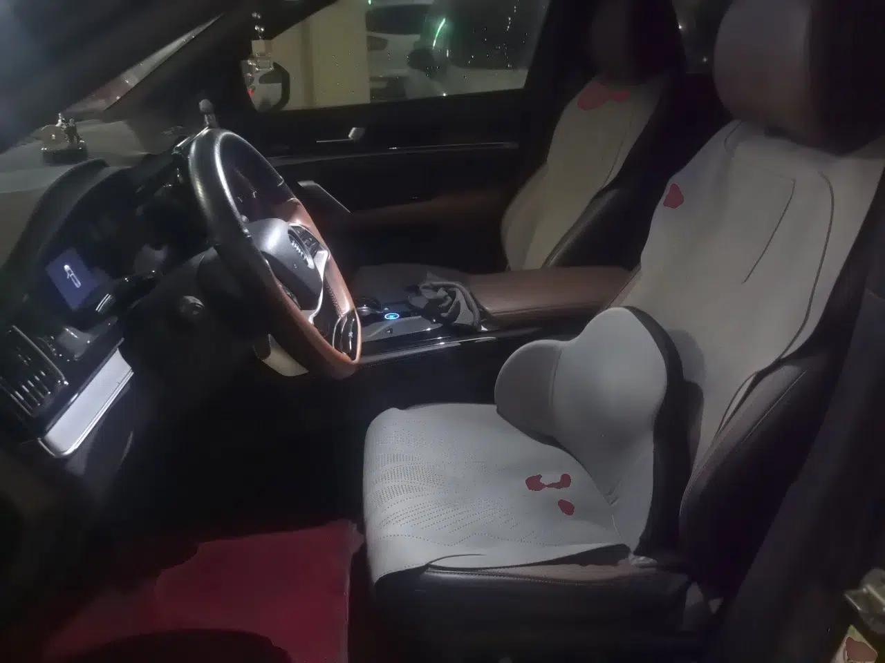 BYD Tang New Energy 2021 DM-i 112KM Prestige Model — миниатюра 15