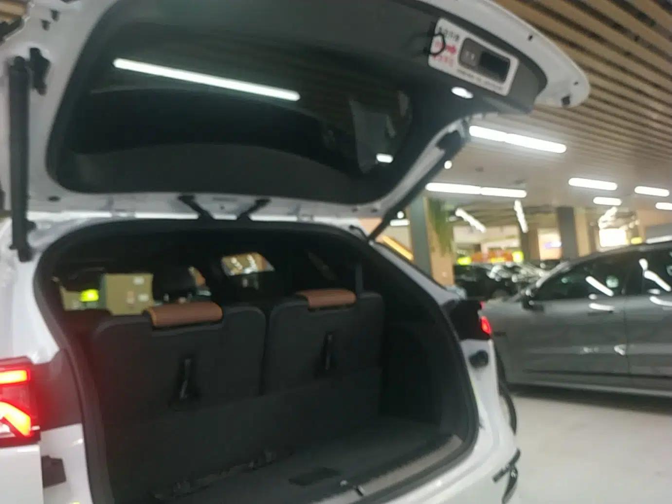 BYD Tang New Energy 2021 DM 2.0T Four-Wheel Drive High-Performance Flagship Model — миниатюра 31